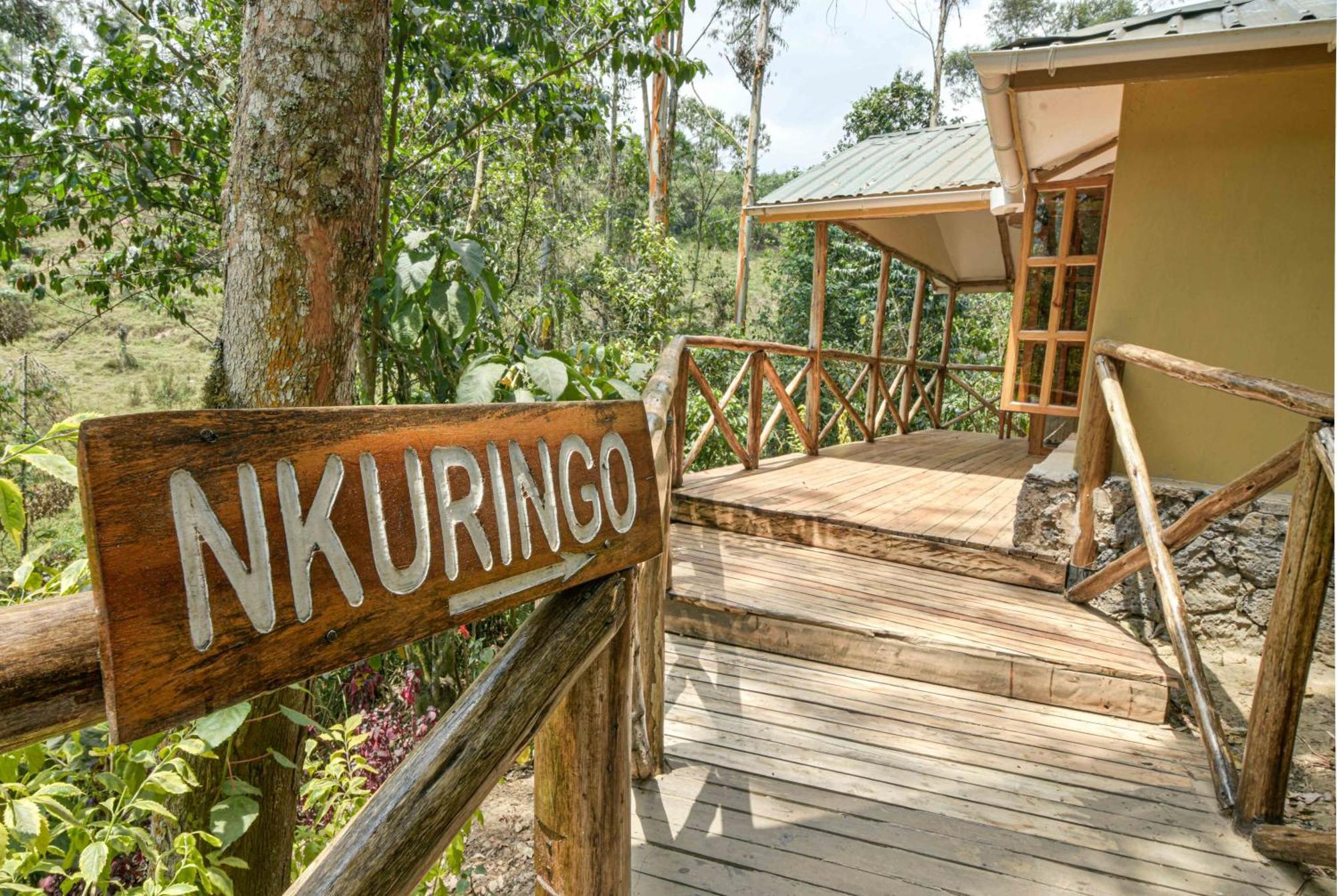 Gorilla Safari Lodge Rubuguli Luaran gambar