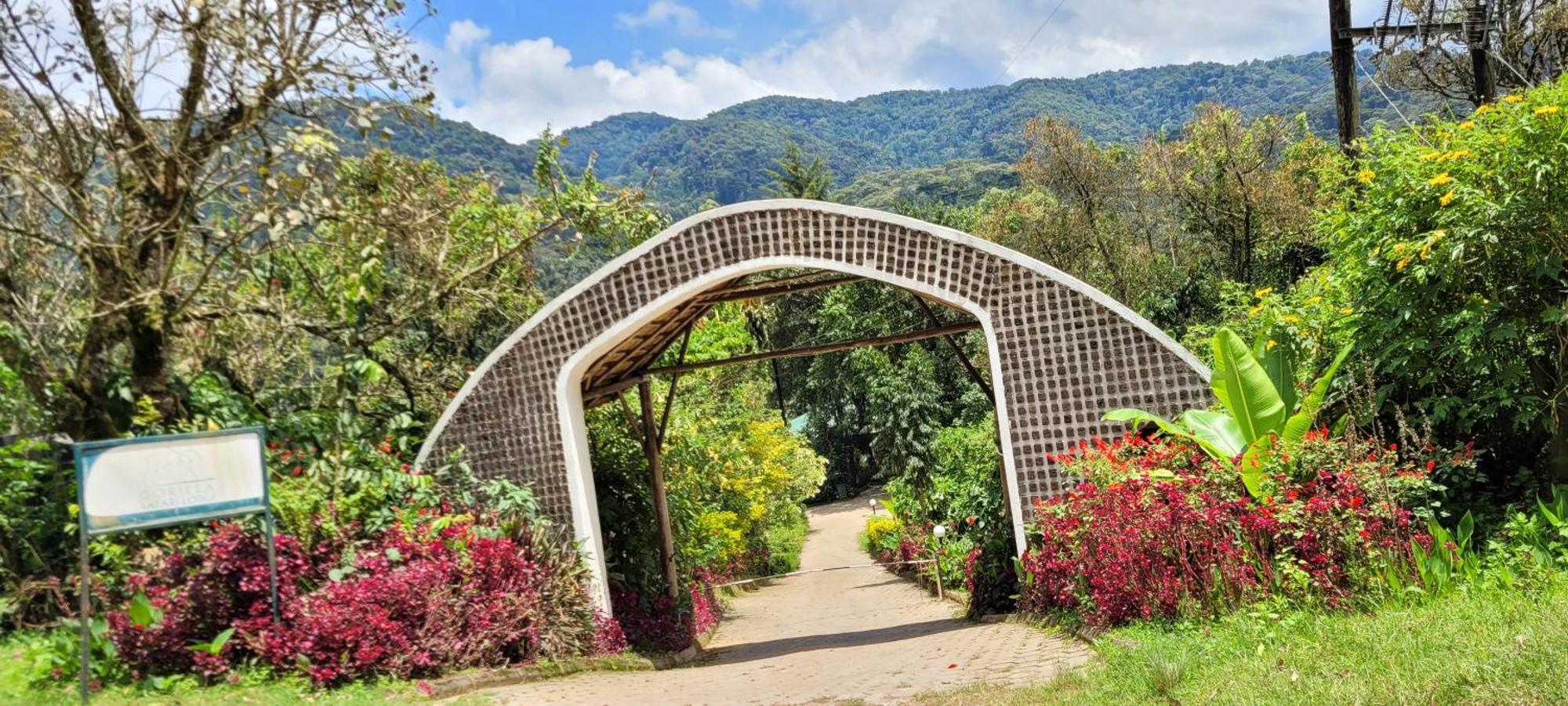 Gorilla Safari Lodge Rubuguli Luaran gambar