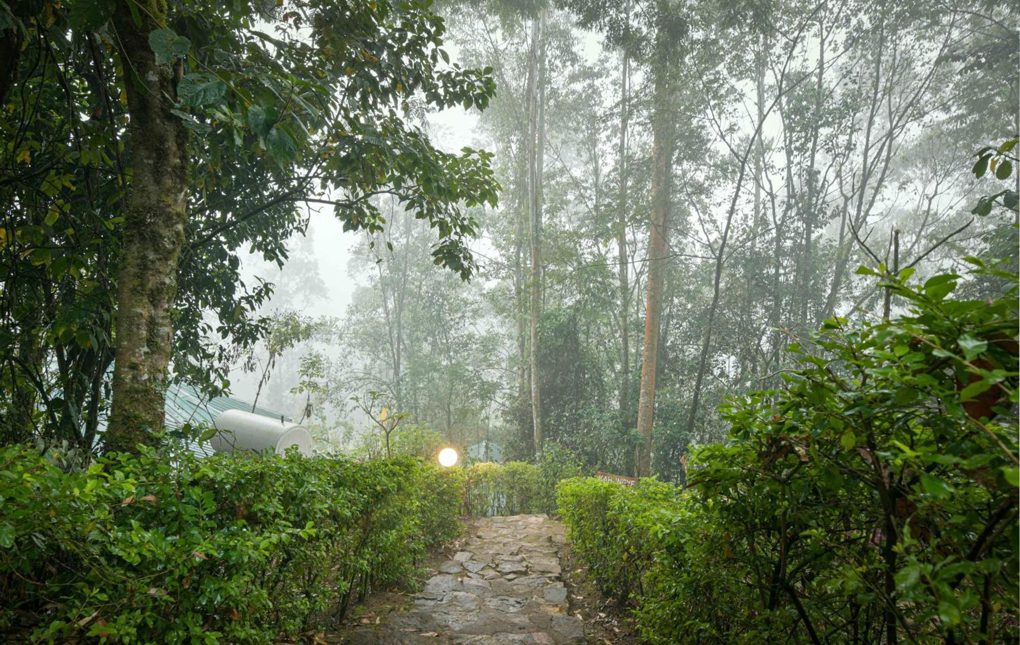 Gorilla Safari Lodge Rubuguli Luaran gambar