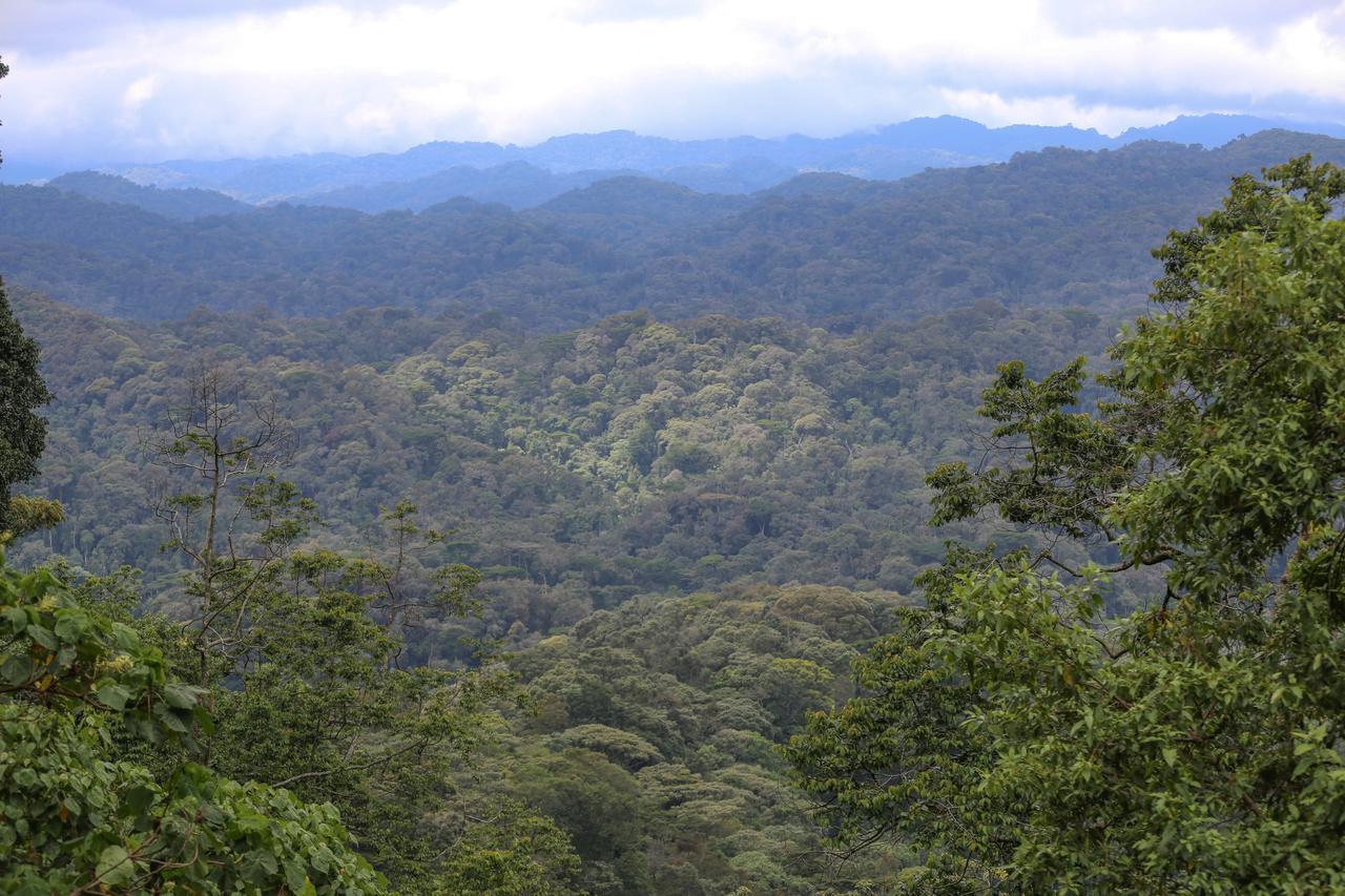 Gorilla Safari Lodge Rubuguli Luaran gambar