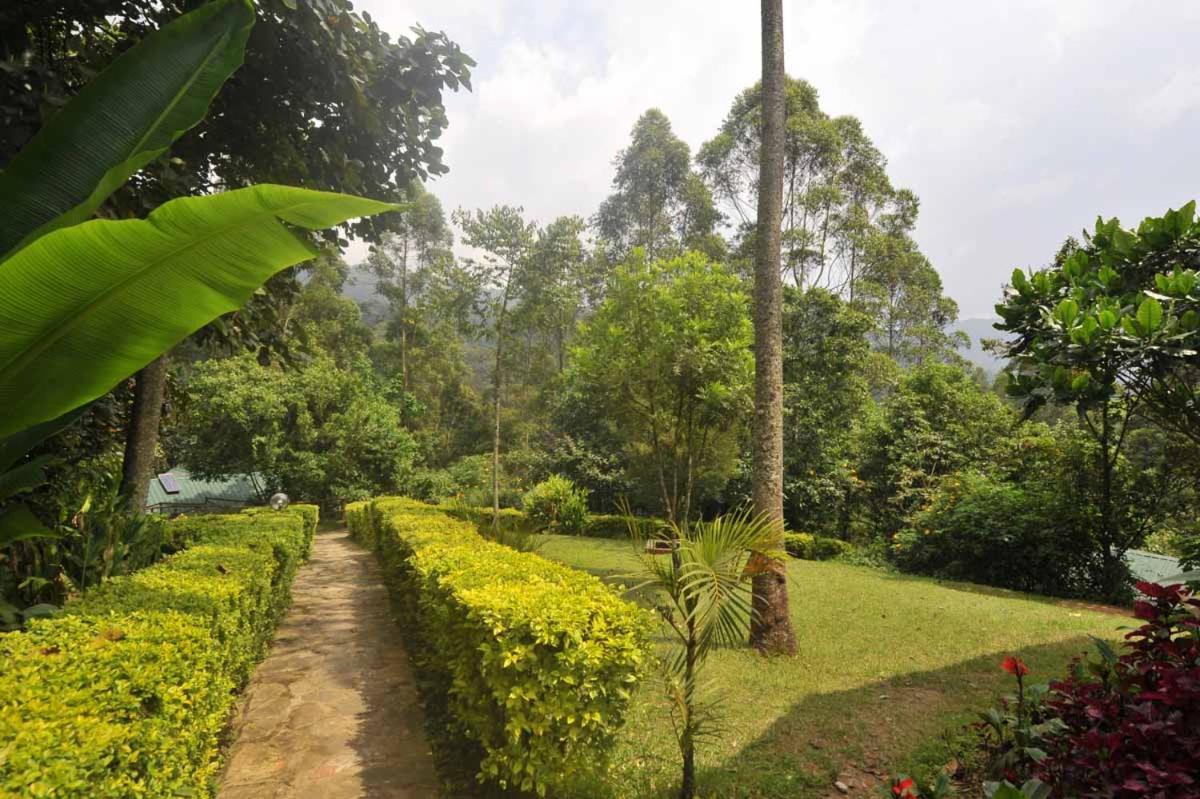 Gorilla Safari Lodge Rubuguli Luaran gambar